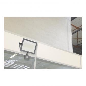 Schneider LED Strahlerm BMelder IMT47220 