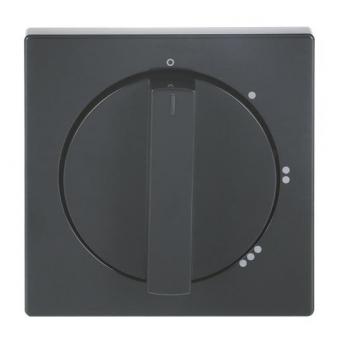 BJ Zentralscheibe Drehs.    2542DR/01-81 