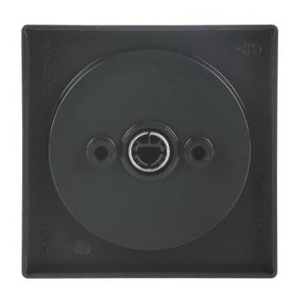 BJ Zentralscheibe Drehs.    2542DR/01-81 