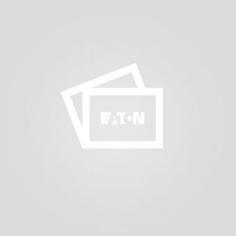 CEAG V-CG-S 4-400W, 2,5      40071352459 