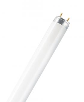 OSR L-Lampe L 58W-840 (-21) 