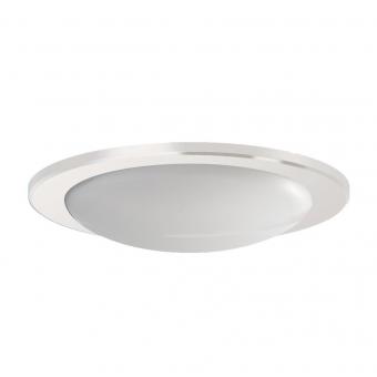 RIDI DKV5 235 W Kunstglas        0202749 