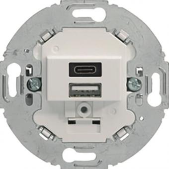 Berker USB A+C Lade-Std.2fach     260419 