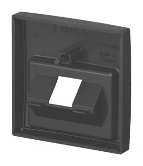 BJ Zentralscheibe UAE 1-fach    1803-915 