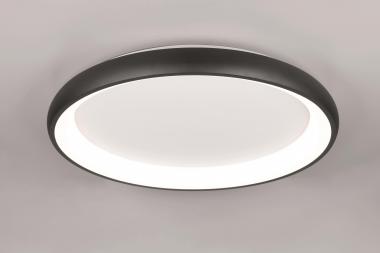 TRIO Deckenleuchte CARDONA 59W 649617532 
