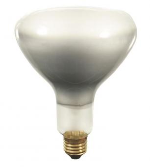 S&H Nitraphot-Glühlampe 100x142mm  65061 