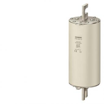 SIEM SITOR-Sicherungseinsatz  3NE5424-0C 