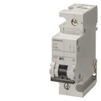 Siemens Automat C 80A           5SP41807 
