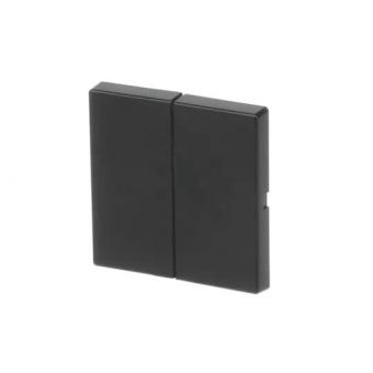 BJ FoH-Bedienelement 2fach  6736 FoH-885 