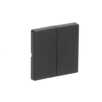 BJ FoH-Bedienelement 2fach  6736 FoH-885 