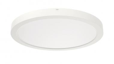 RIDI Sanierungsdownlight SARA290 0322095 