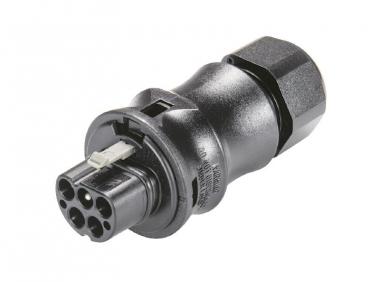 Wieland Steckerteil RST20I5S S1 ZR1 V SW 