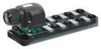 Murrelektronik Exact  8000-88552-0000000 