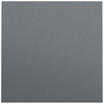 GIRA 329673 Wippe System 70 