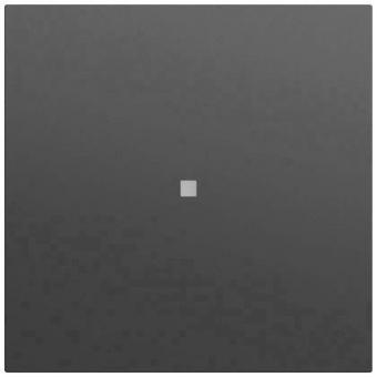 GIRA 329074 Wippe Kontrollf.System 70 