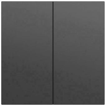 GIRA 329574 Wippe 2f System 70 Schwarz 