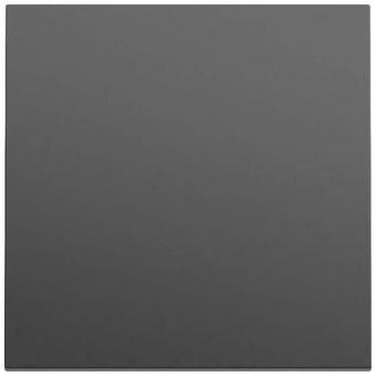 GIRA 329674 Wippe System 70 Schwarz 