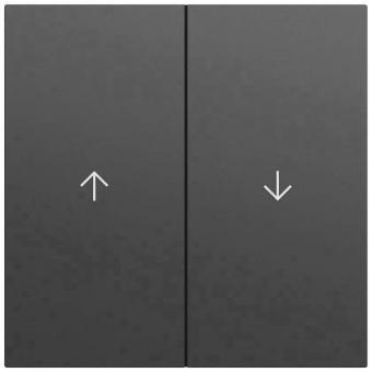 GIRA 329474 Wippe 2f Pfeil System 70 