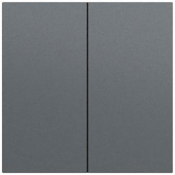 GIRA 329573 Wippe 2f System 70 