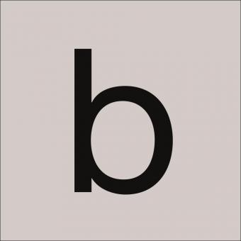 RZB Klebebuchst "b" 100mm  99222.013.b/K 