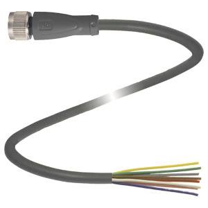 PF Kabeldose M12       V19-G-BK10M-PUR-U 