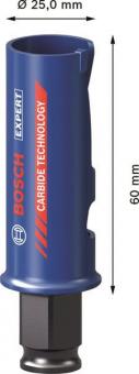 Bosch EXPERT                  2608900454 