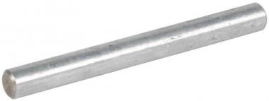 DEHN Runddraht St/Tzn             800008 