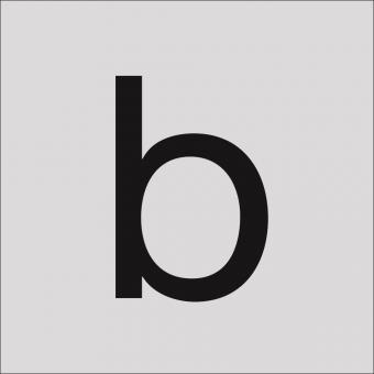 RZB Klebebuchst "b" 100mm  99222.013.b/K 
