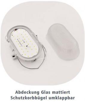 LTEK LED Ovalleuchte Glas IP44  OBH-XW 