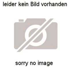 FLUOLITE Ersatzakku für FL 2-4  30019000 