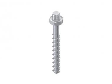 Niedax Schraubanker   NSA 6X55/SW10-M6 V 