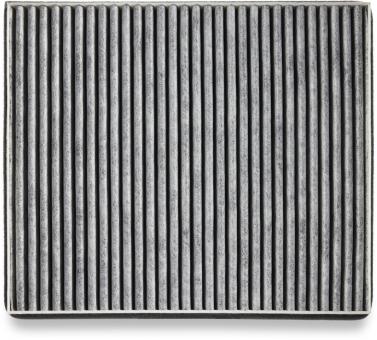 Miele DKF12-P Aktivkohlefilter 