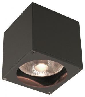 SLV BIG THEO WALL OUT Wandleuchte 229565 