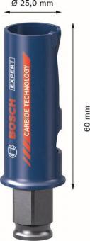 Bosch EXPERT                  2608900454 