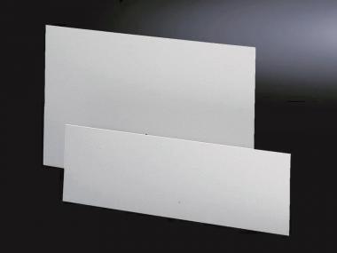 Rittal Frontplatte            CP 6028016 