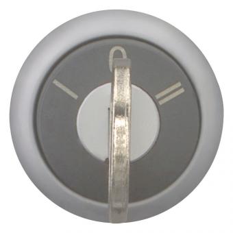 EATON M22-WRS3 Schlüsseltaste     216900 