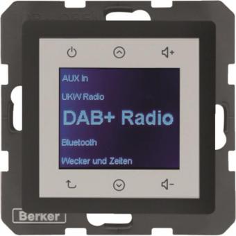 Berker Radio Touch UP DAB+Q.x   29846086 