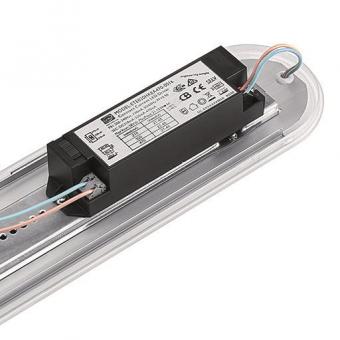THORN LED Feuchtraumleuchte     96700019 