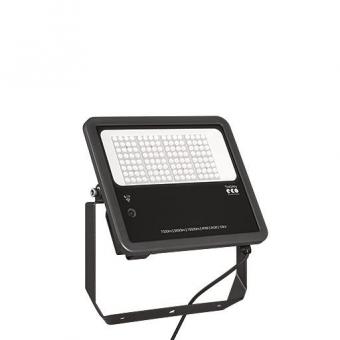 THORN LED-Fluter LEO Flex IP66  96635301 