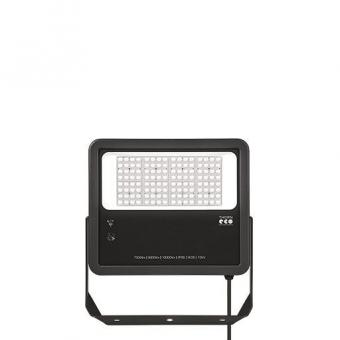 THORN LED-Fluter LEO Flex IP66  96635301 