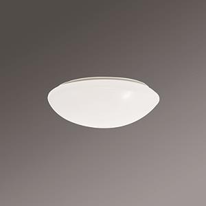 Regiolux WBLSPC/500 LED 4500 25316194111 