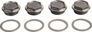 Bosch Thermotechnik    Plug G1 1/2 (4PC) 