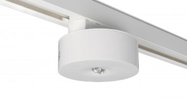 RP-Technik SI-Leuchte       ILDL423SC-3P 