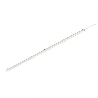 Brumberg                        80020003 
