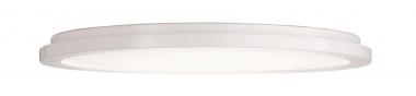 Trio LED-DL CAMILLUS,24W       R62922401 