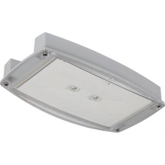 CEAG                       IP65LEDO230CG 