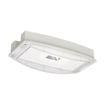 CEAG i-P65 Plus H CG-S, PC    IP65PHPCGS 