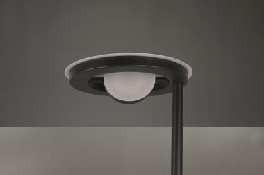 TRIO LED-Stehl.                424210332 