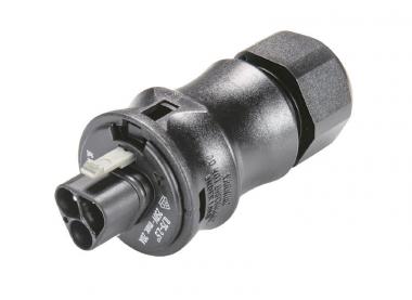 WIEL Stecker mit  RST20I3F S2 ZR1 V SW 