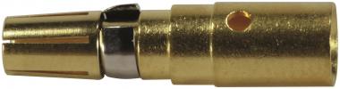 HART DIN-Signal Hochstrom f, 09030006215 